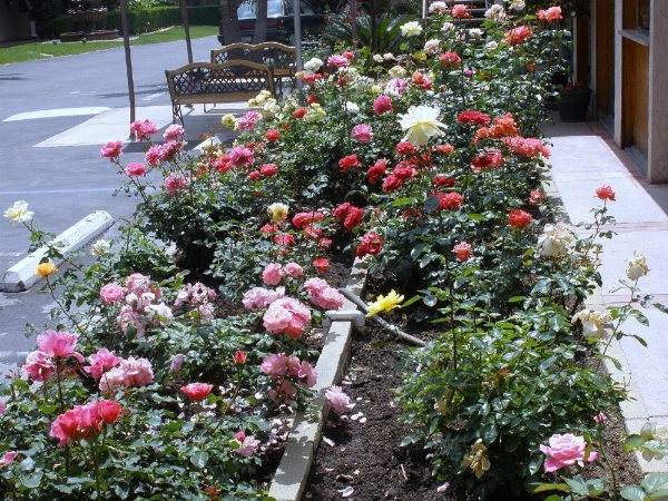 Garden Inn and Suites Glendora image 12