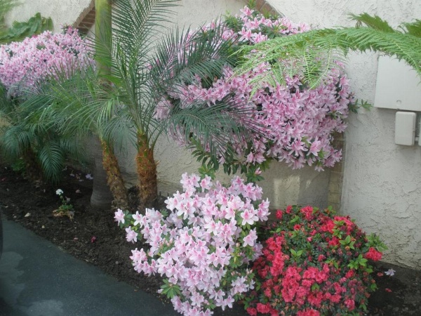 Garden Inn and Suites Glendora image 9